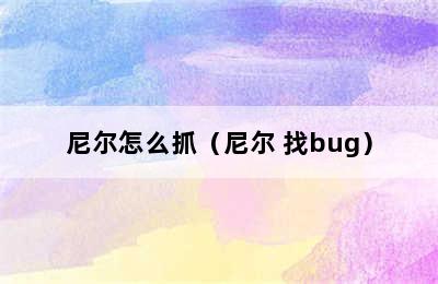 尼尔怎么抓（尼尔 找bug）